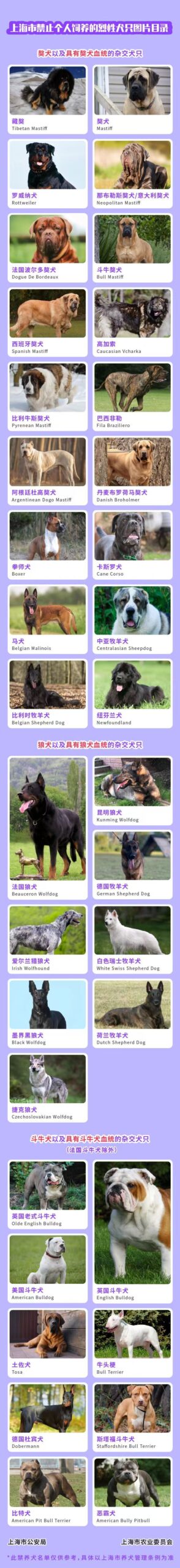 上海市個人飼育が禁止されている犬リスト