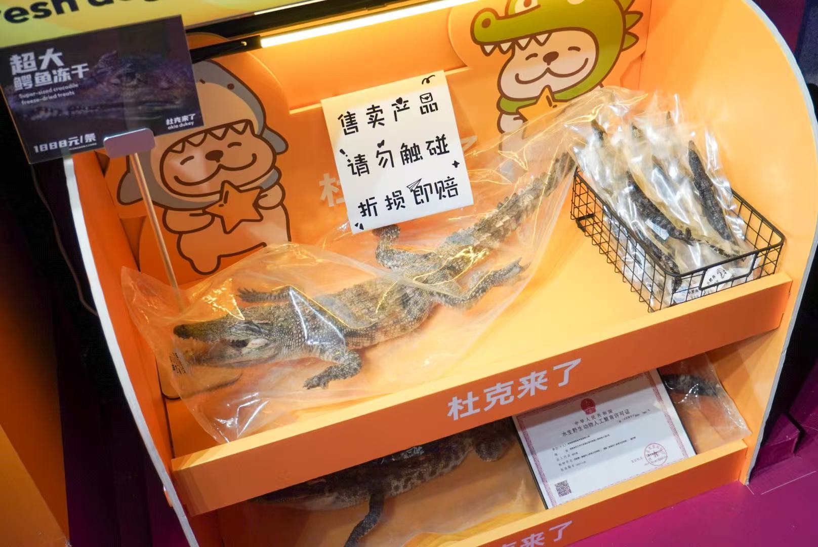ペット用品店ワニ