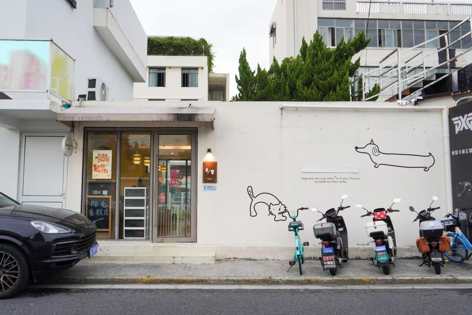 上海のペット用品店