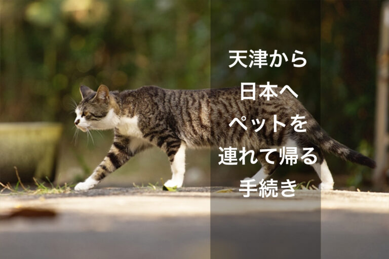 上海のビジネス 帰任のご挨拶。。。。（例文）