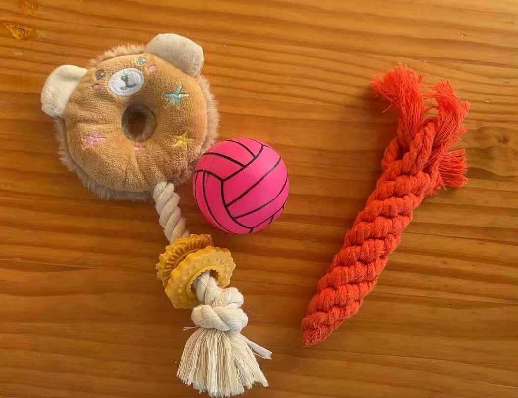 ペットインタビュー