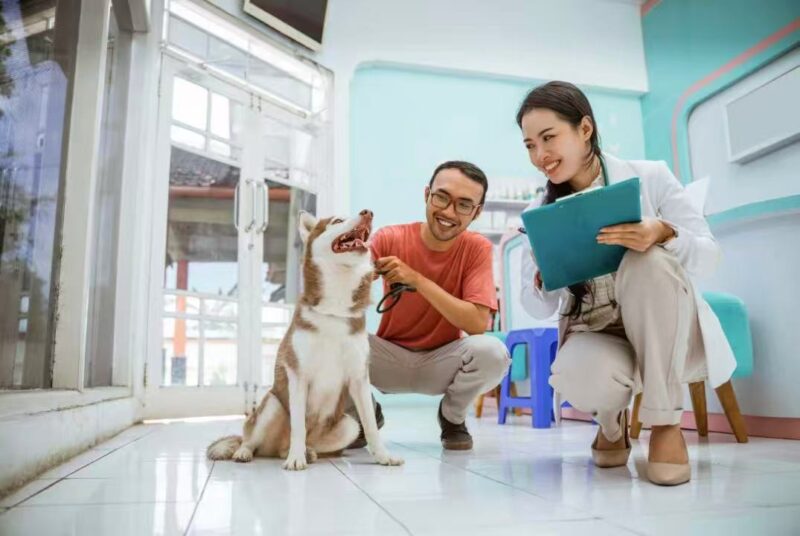 ペット動物病院