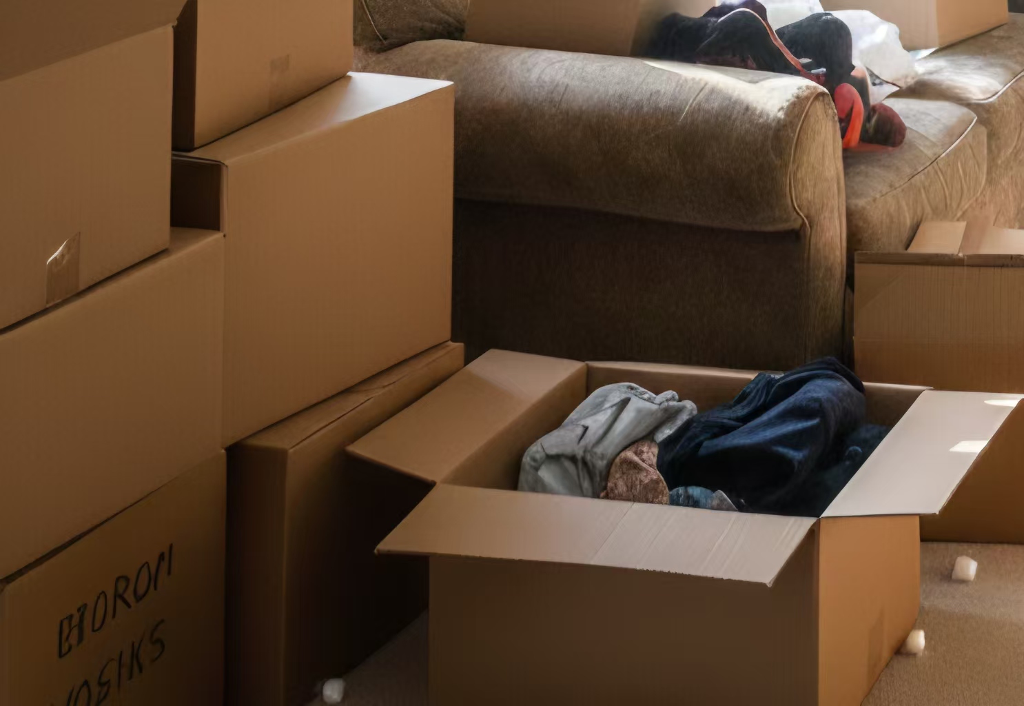 ダンボール　AI